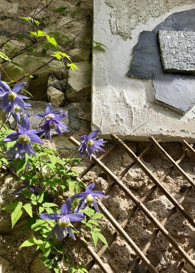 Vila La Petite Maison D'A Cote Saint-Aignan  Exteriér fotografie